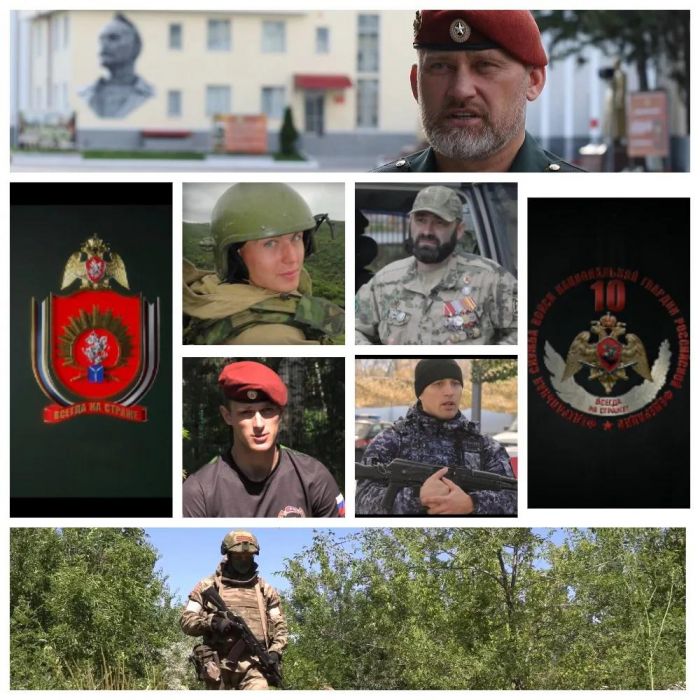 Ко Дню России Росгвардия и оргкомитет Международного фестиваля медийного творчества "Братина" проводят показ документальных фильмов о героях СВО